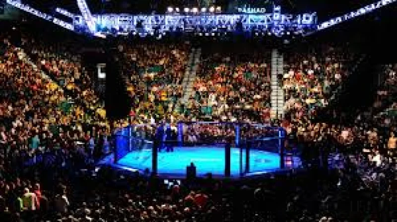 White House Card Ufc betting guide as Freedom 250 nears