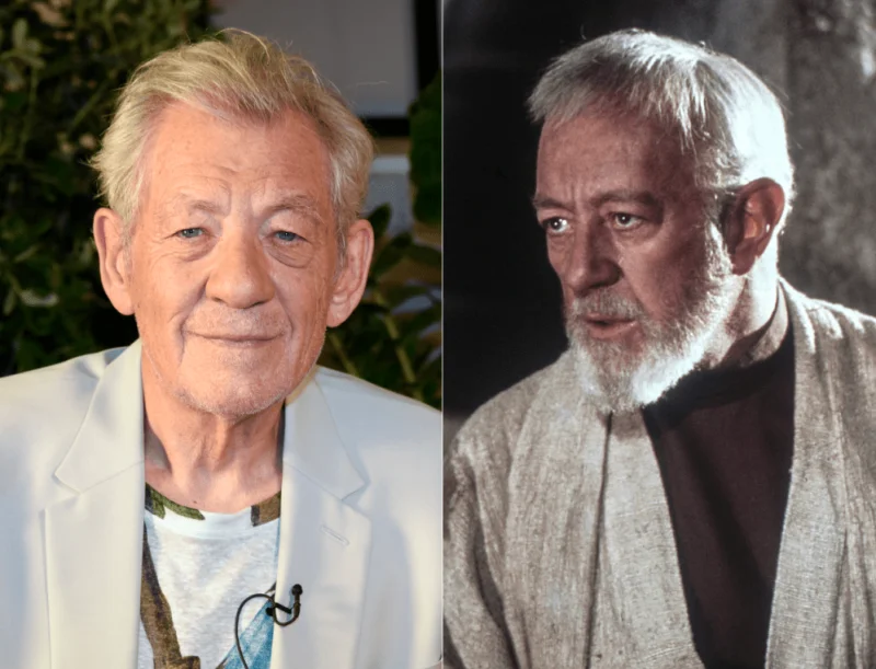 Alec Guinness pleaded with Ian McKellen not to campaign for gay rights