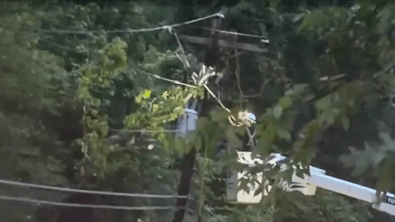 Centerpoint Outage: Tree knocks out power, blocks Highway 41 in Mount Pleasant