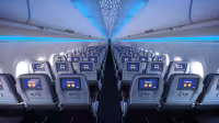 JetBlue cancels Saint Lucia flight after bird strike, refuses hotel rooms