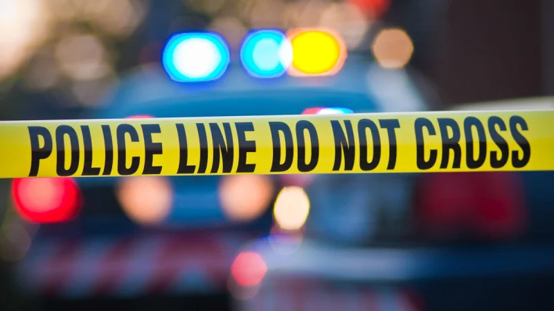 University Of Washington student killed in off-campus stabbing at Nordheim Court