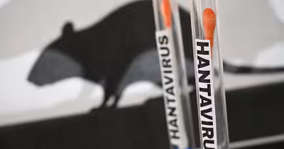 Hantavirus Illinois case under review in Winnebago County