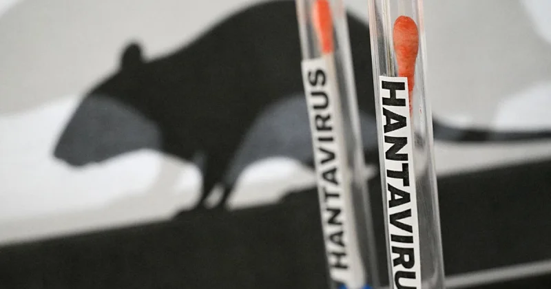 Hantavirus Illinois case under review in Winnebago County